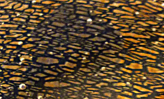 Crackled iridized glass